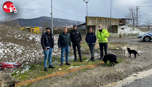 Sokak hayvanlarını unutmadılar…