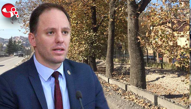 Yavuzyılmaz “Çınarlı Yol”un çınarlarını sordu