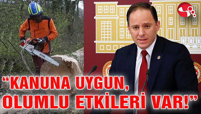 Bakanlık, Yavuzyılmaz’ın sorularını Orman Haftası’nda yanıtladı!