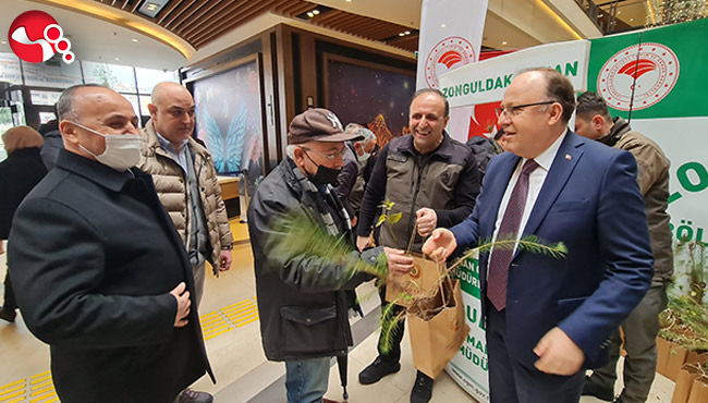 Vatandaşlara fidan dağıtıldı