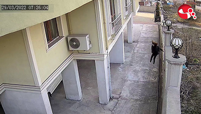 Okula giden çocuğa köpekler saldırdı