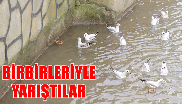BİZE MUHTAÇLAR