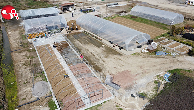 ATA TOHUMU PROJESİ’NDE 5’İNCİ SERA ...