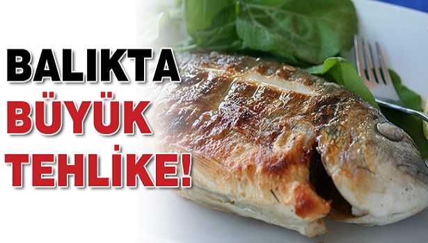 BALIKTA KANSER RİSKİ!