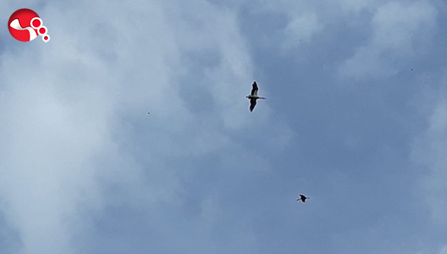 İlgi odağı oldu!..