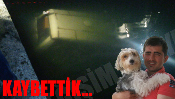 MİNİBÜSÜYLE DENİZE UÇAN SÜRÜCÜ HAYATINI KAYBETTİ