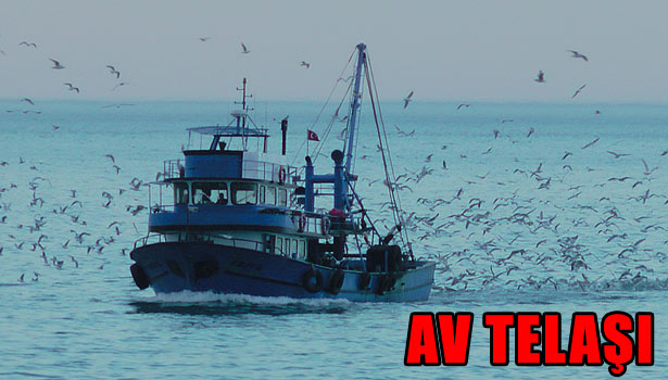 MARTILAR TEKNE ARKASINDA AVLANDI