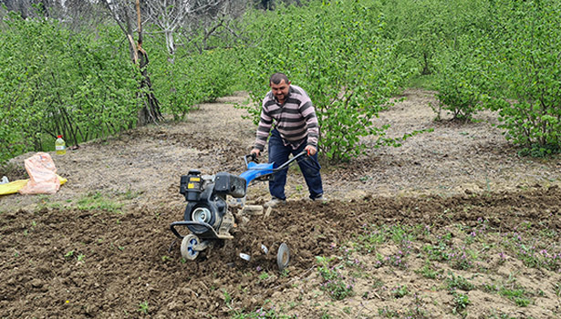 Tarım işçisinin Ramazan'da zorlu mesaisi