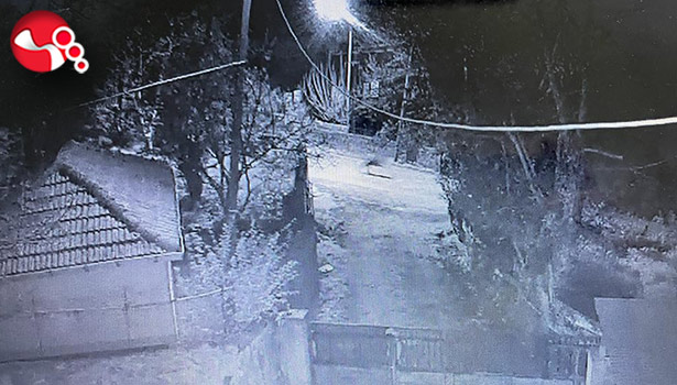 Çocuklar kaçtı, köpekler kovaladı