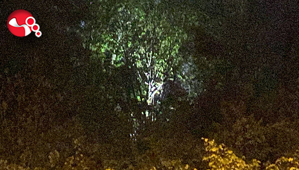 Her yerde aranıyordu...