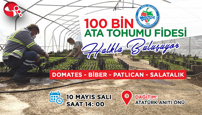 100 BİN ATA TOHUMU FİDESİ DAĞITILACAK…