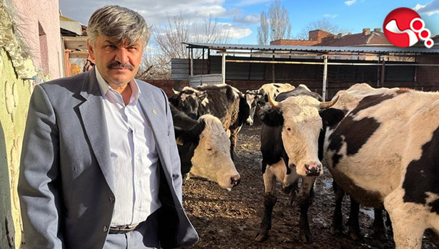 Süte gelen zamdan sonra yem fiyatları da yükseldi!