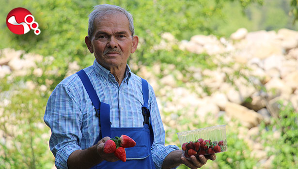 Emekli madenci hayatını tarıma adadı; siparişe yetişemiyor