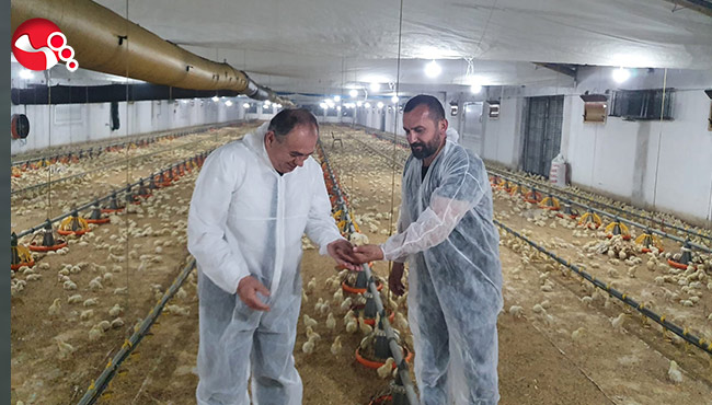 Tavuk Çiftliğinde incelemelerde bulundu