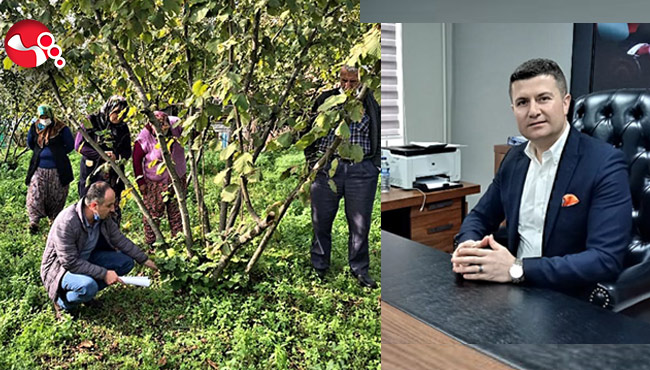 Çiftçinin toprağı bu projeyle yeşeriyor