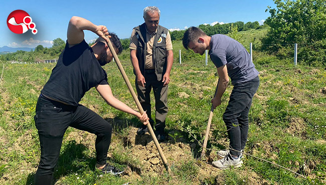 Üniversite öğrencileri fidanları toprakla buluşturdu