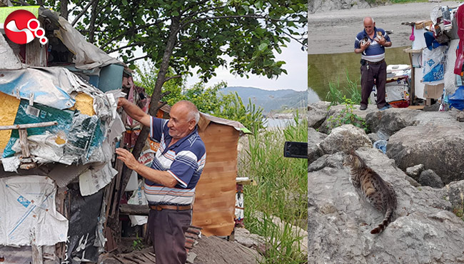 İşçi emeklisi ömrünü kedilere adadı