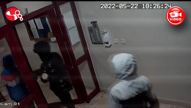 Sessizce gelip keşfettiler ardından...