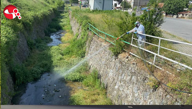 Sivrisineklerle mücadele çalışmaları başladı...