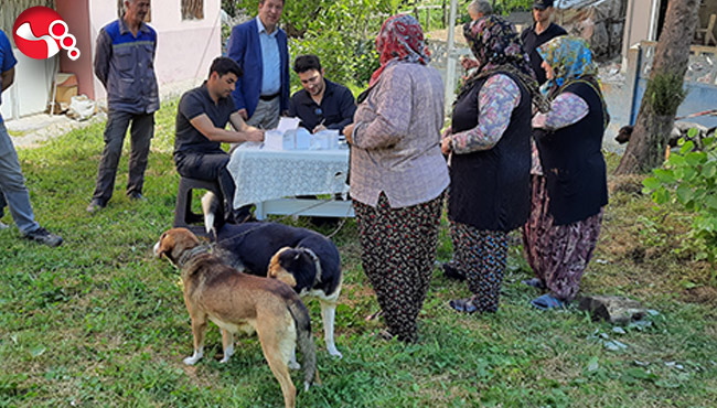 Onlar artık mikroçipli…