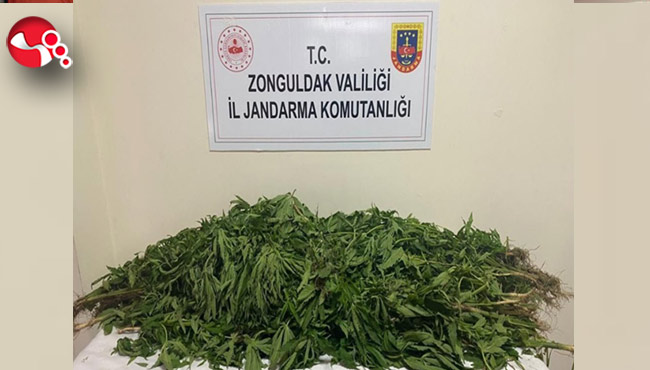 Ereğli'de ele geçirildi!..