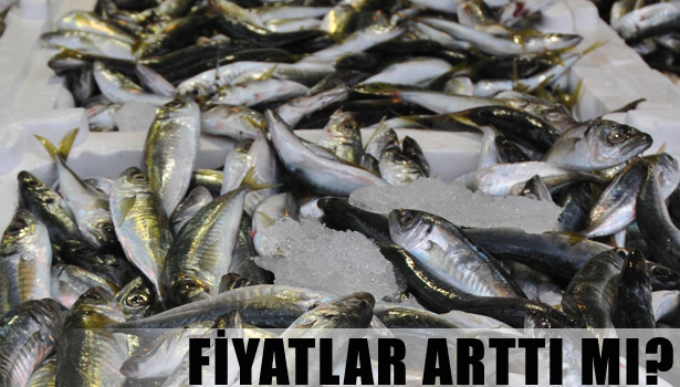 BALIK FİYATLARI ARTTI