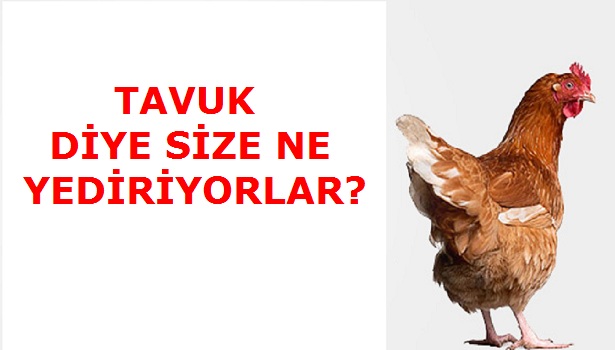 TAVUK DİYE KANSER YEDİRİYORLAR !