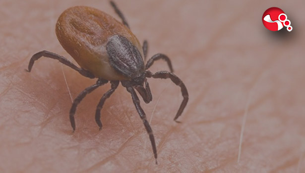 Uzmanlar uyarıyor: Bu belirtiler varsa DİKKAT!