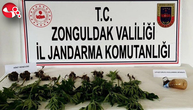 28 kök kenevir ele geçirildi