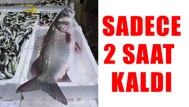 KARADENİZDE AVLANAN 10 KİLOLUK LEVREK 2 SAATTE SATILDI