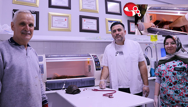 Ölmek üzereydi, can oldular….