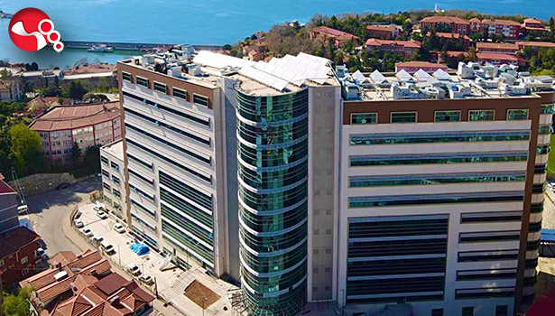 Açılış için gün sayıyor...