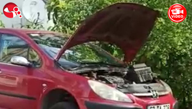 Kedi Kurtarma Operasyonu...