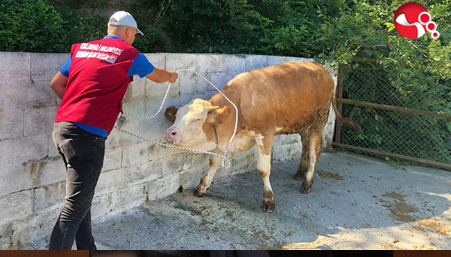 Kurban Yakalama Timi göreve hazır!