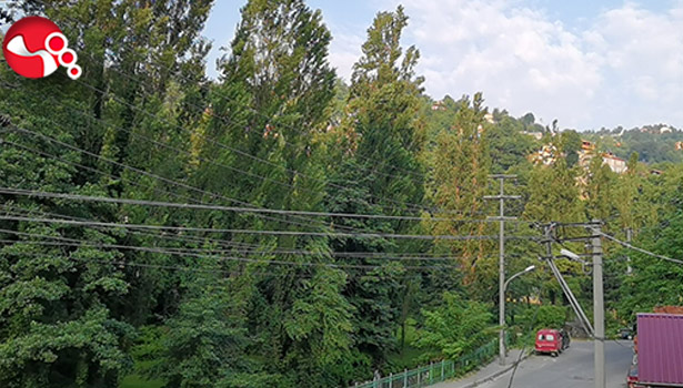 Sabah saatlerinde silah sesleri yükseldi