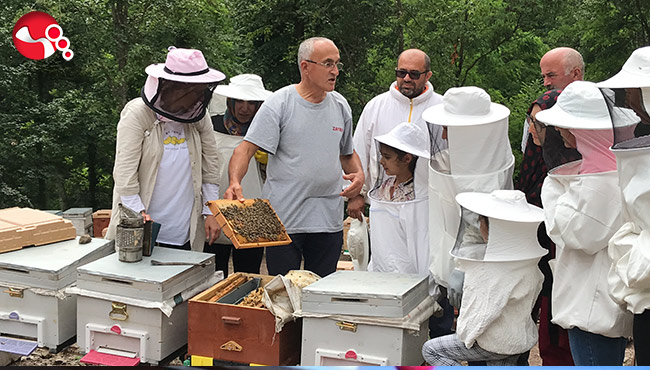 "Arı gibi çalışkan" kadınlar arı üretimi eğitiminde