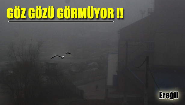 EREĞLİ'NİN ÜSTÜNE SİS ÇÖKTÜ