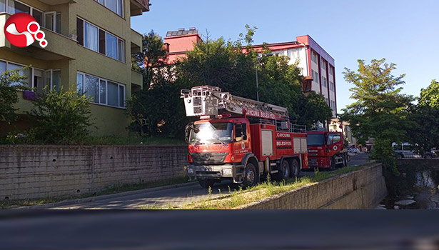 Düdüklü tencere mahalleliyi korkuttu