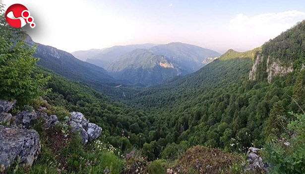 Ormanlık alanlara giriş ve çıkışlar...