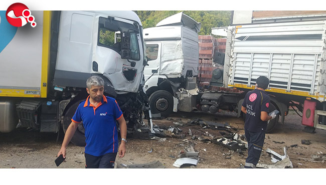 Park halindeki tırların arasına daldı