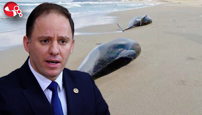 “NEDEN ÖLÜYORLAR?”