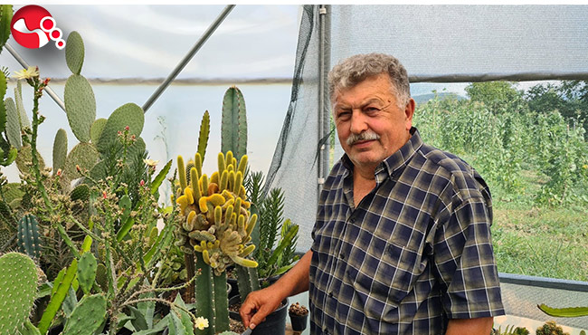 50 kaktüsle başladı, şimdi…