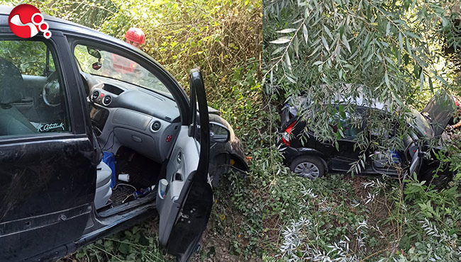 Ormanlık alana uçtu!