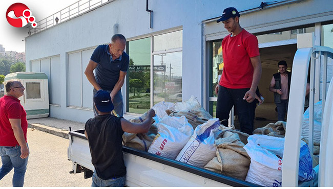 TMO kabuklu fındık alımına başladı