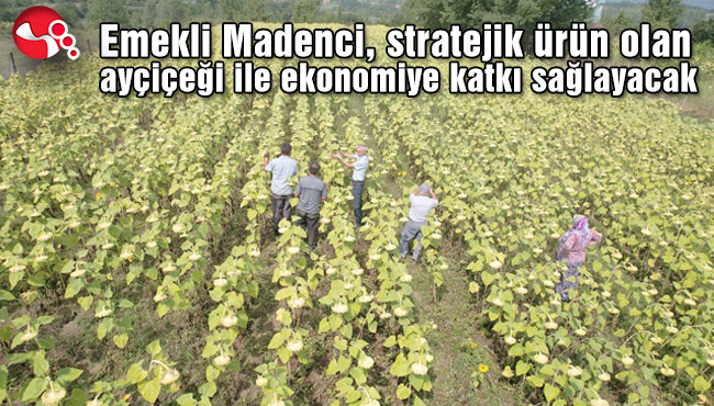 “TARIMA DÖNMEMİZ LAZIM”