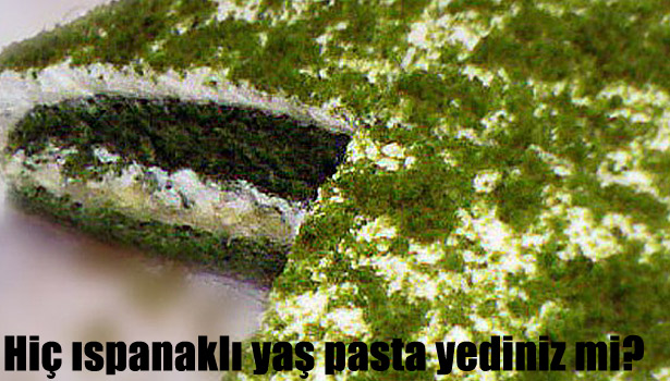 ISPANAKLI YAŞ PASTA TARİFİ