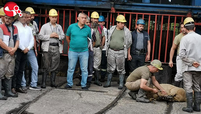 Armutçuk’ta yeni üretim panosu açıldı