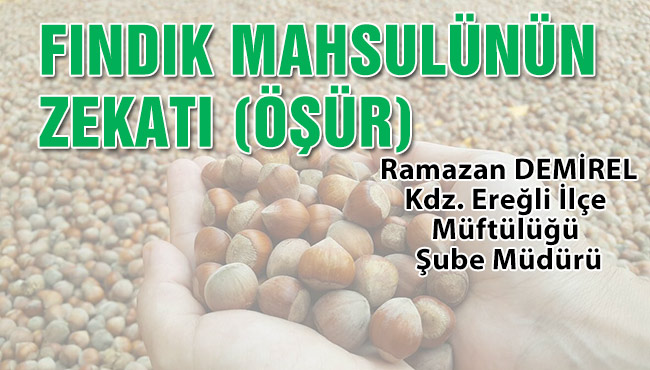 FINDIK MAHSULÜNÜN ZEKATI (ÖŞÜR)