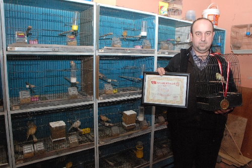 60 KANARYA KUŞU İLE AYRI AYRI İLGİLENİYOR..