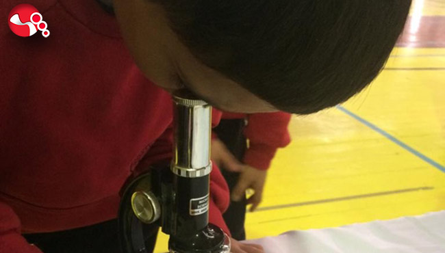 EEF’den bir başarı daha…